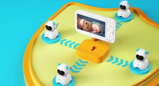 Additional Video Monitor Cameras, Extra Monitor Camera