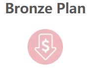 HeimVision Bronze Plan Cloud Plan